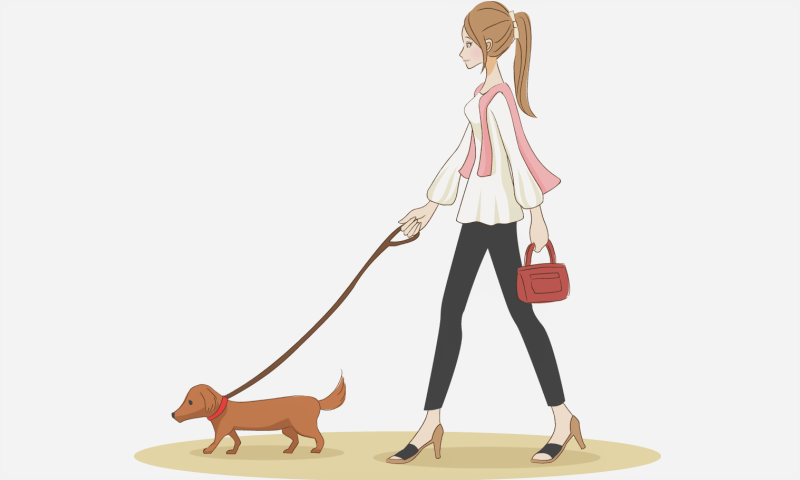 犬と散歩する親族